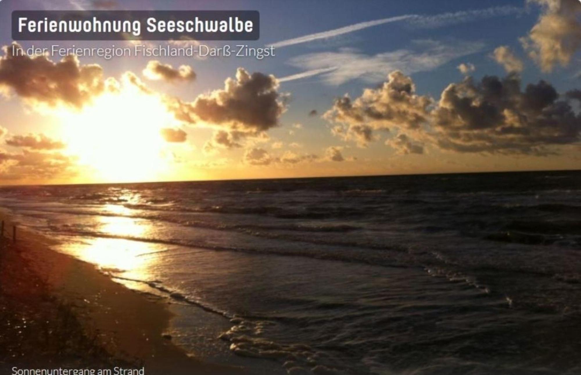 Seeschwalbe App 34 Neuhaus  Esterno foto